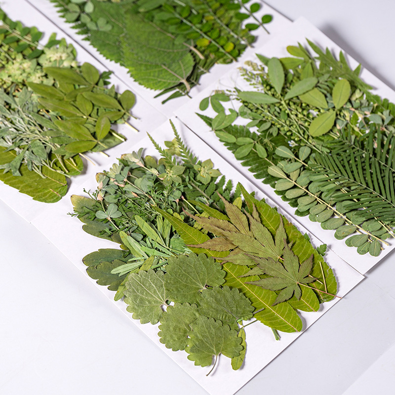 Dried Flower Bookmark - 1Set 35 stücke Gepresste Getrocknete Blume